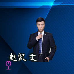 赵凯文